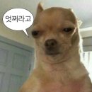 함지세탁소 | ~10월 16일