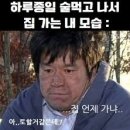 해남광장 | 평화광장 맛집 아침 식사 가능한 목포 복어촌 방문 솔직후기 해장맛집 강추