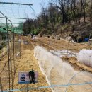 지푸라기농장 이미지