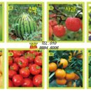 블루유치원 이미지