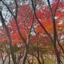 마들역 3번출구 이미지