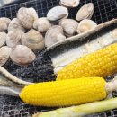 아도수산 이미지