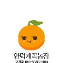 안덕농장 이미지