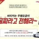 시티카 이미지