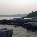 장등해수욕장 Daum카페
