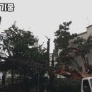 환경교육(음식물 폐기물 처리) 이미지