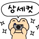 안경,원트 이미지