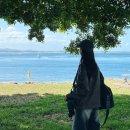 셋째날 | 노랑풍선 시드니패키지 여행 4박 6일 셋째날 상세 후기