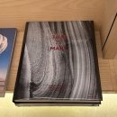 34 시는 언제나 새 고양이로 온다