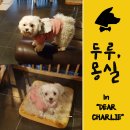 두루몽실 이미지