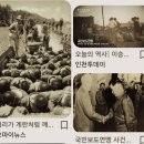 ■아메리카 원주민 학살에, 오스카상 거부 (☆학살의 역사) 이미지