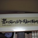 해인진 이미지