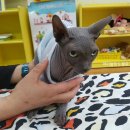 예원어린이집 이미지