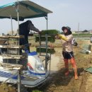 대박기원농장 이미지