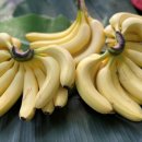 서진도농협 하나로마트 이미지