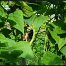 브니엘2농장 이미지