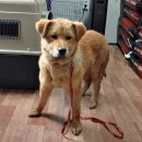 봉강가술로 이미지