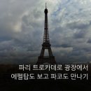 파코야 | 에펠탑 보러 간다면 여기! 파리 트로카데로 광장에서 파코 만난 후기