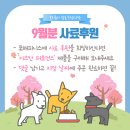 ♥♥ 9월 사료 후원을 모집합니다♥♥ 이미지