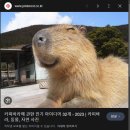 소잃고뇌약간고침