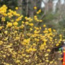 숭덕초등학교화도분교장 이미지