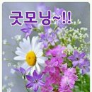 오늘은좋은날 이미지