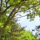 옥암유치원 이미지