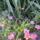 구석농장 이미지