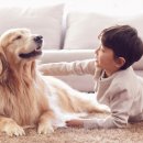 정철동물병원 이미지