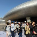 2026 서울세계도시문화축제 (DDP) 후기 - 진짜 따꼬를 만났다.