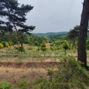 청은농장 이미지