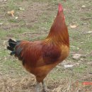 구암농장 이미지