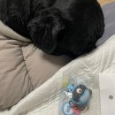 (주)에그필드