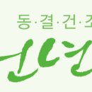 김윤식천년초