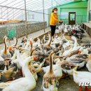 수봉농장 이미지