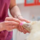 티앤디 동물병원 이미지