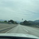 계곡과소나무 캠핑장 이미지