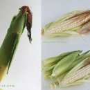 간동농협협동조합 이미지