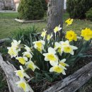 삶의이야기가있는집 이미지