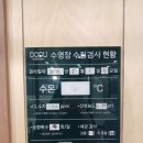 도두봉 실내수영장 | [제주 세달살기] 도두봉실내수영장 #제주수영레슨 #가격 #시간표