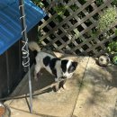 위크팜펜션 이미지