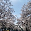 자연과학대학 4호관 이미지