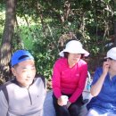 영옥농장 이미지