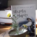 황안나