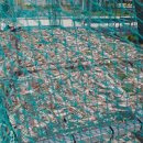 임자 전장포 새우젓토굴 이미지