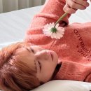 메이무드 - 청주시 흥덕구 청향로5번길 30 | 메이무드