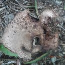 요제농장 이미지