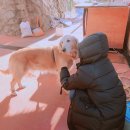 금곡LPG충전소 이미지