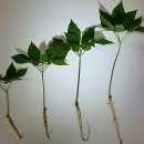 수인농장 이미지