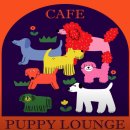 퍼피라운지 이미지